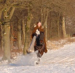<img0*300:stuff/z/61691/Beautiful%2520Crow%2520in%2520snow/DSC_0251.jpg>
