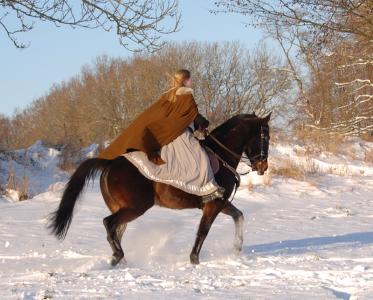 <img0*300:stuff/z/61691/Beautiful%2520Crow%2520in%2520snow/DSC_0318.jpg>