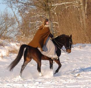 <img0*300:stuff/z/61691/Beautiful%2520Crow%2520in%2520snow/DSC_0320.jpg>