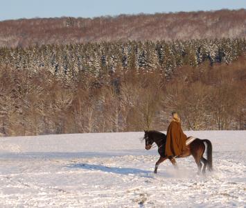 <img0*300:stuff/z/61691/Beautiful%2520Crow%2520in%2520snow/DSC_0351.jpg>