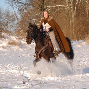 <img0*300:stuff/z/61691/Beautiful%2520Crow%2520in%2520snow/DSC_0437.jpg>