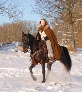 <img0*300:stuff/z/61691/Beautiful%2520Crow%2520in%2520snow/DSC_0438.jpg>