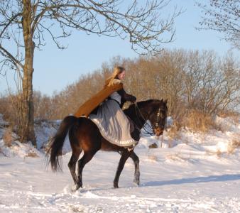 <img0*300:stuff/z/61691/Beautiful%2520Crow%2520in%2520snow/DSC_0462.jpg>