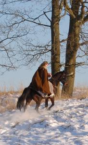<img0*300:stuff/z/61691/Beautiful%2520Crow%2520in%2520snow/DSC_0485.jpg>
