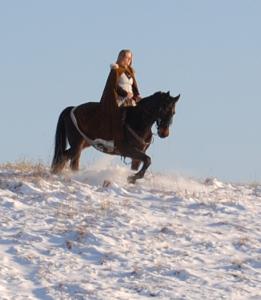 <img0*300:stuff/z/61691/Beautiful%2520Crow%2520in%2520snow/DSC_0518.jpg>