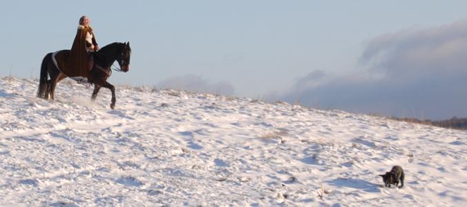 <img0*300:stuff/z/61691/Beautiful%2520Crow%2520in%2520snow/DSC_0521.jpg>