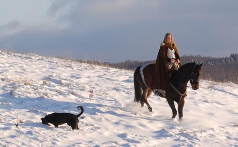 <img0*300:stuff/z/61691/Beautiful%2520Crow%2520in%2520snow/DSC_0534.jpg>