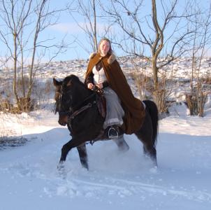 <img0*300:stuff/z/61691/Beautiful%2520Crow%2520in%2520snow/DSC_0555.jpg>