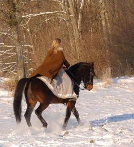 <img0*300:stuff/z/61691/Beautiful%2520Crow%2520in%2520snow/dfoxtrotorDSC_0321.jpg>