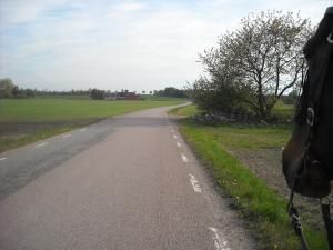 <img300*0:stuff/z/61691/Ridtur%2520-nya%2520rundan/DSCN0003%2022-54-12.jpg>