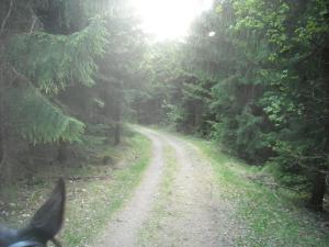 <img300*0:stuff/z/61691/Ridtur%2520-nya%2520rundan/DSCN0006.JPG>