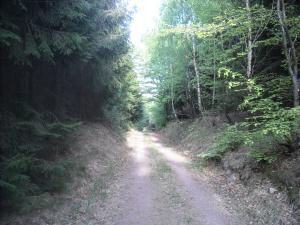 <img300*0:stuff/z/61691/Ridtur%2520-nya%2520rundan/DSCN0007.JPG>