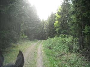 <img300*0:stuff/z/61691/Ridtur%2520-nya%2520rundan/DSCN0008.JPG>