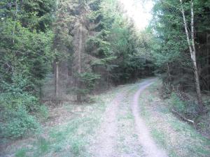 <img300*0:stuff/z/61691/Ridtur%2520-nya%2520rundan/DSCN0009.JPG>