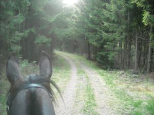 <img300*0:stuff/z/61691/Ridtur%2520-nya%2520rundan/DSCN0011.JPG>
