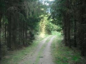 <img300*0:stuff/z/61691/Ridtur%2520-nya%2520rundan/DSCN0012.JPG>