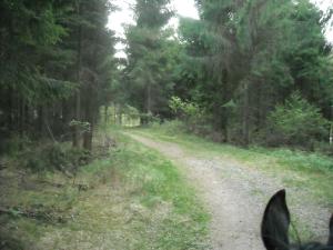<img300*0:stuff/z/61691/Ridtur%2520-nya%2520rundan/DSCN0013.JPG>