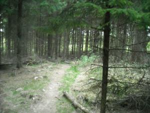 <img300*0:stuff/z/61691/Ridtur%2520-nya%2520rundan/DSCN0016.JPG>