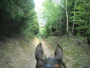 <img300*0:stuff/z/61691/Ridtur%2520-nya%2520rundan/DSCN0017.JPG>