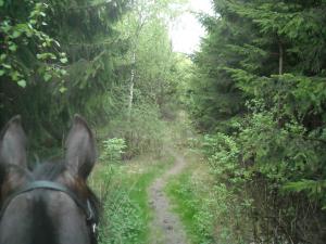 <img300*0:stuff/z/61691/Ridtur%2520-nya%2520rundan/DSCN0018.JPG>