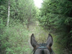 <img300*0:stuff/z/61691/Ridtur%2520-nya%2520rundan/DSCN0019.JPG>