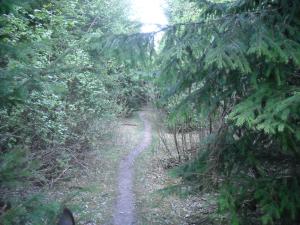 <img300*0:stuff/z/61691/Ridtur%2520-nya%2520rundan/DSCN0021.JPG>