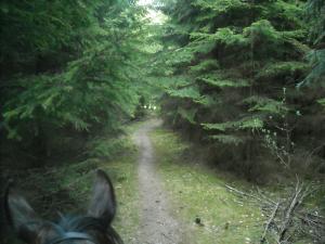 <img300*0:stuff/z/61691/Ridtur%2520-nya%2520rundan/DSCN0024.JPG>