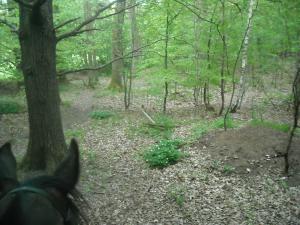 <img300*0:stuff/z/61691/Ridtur%2520-nya%2520rundan/DSCN0026.JPG>