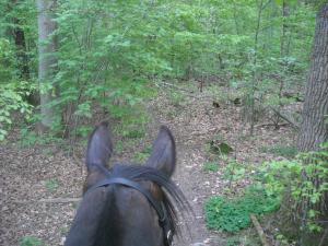 <img300*0:stuff/z/61691/Ridtur%2520-nya%2520rundan/DSCN0028.JPG>