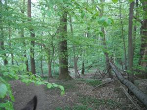 <img300*0:stuff/z/61691/Ridtur%2520-nya%2520rundan/DSCN0031.JPG>