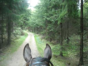 <img300*0:stuff/z/61691/Ridtur%2520-nya%2520rundan/DSCN0033.JPG>