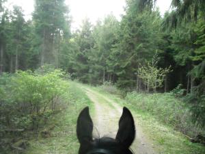 <img300*0:stuff/z/61691/Ridtur%2520-nya%2520rundan/DSCN0034.JPG>