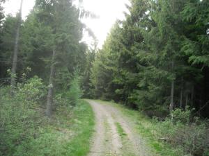 <img300*0:stuff/z/61691/Ridtur%2520-nya%2520rundan/DSCN0035.JPG>