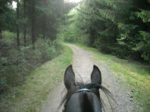 <img300*0:stuff/z/61691/Ridtur%2520-nya%2520rundan/DSCN0037.JPG>