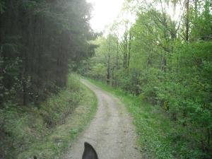 <img300*0:stuff/z/61691/Ridtur%2520-nya%2520rundan/DSCN0039.JPG>