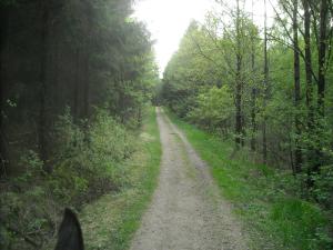 <img300*0:stuff/z/61691/Ridtur%2520-nya%2520rundan/DSCN0040.JPG>
