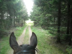 <img300*0:stuff/z/61691/Ridtur%2520-nya%2520rundan/DSCN0042.JPG>