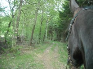 <img300*0:stuff/z/61691/Ridtur%2520-nya%2520rundan/DSCN0044.JPG>