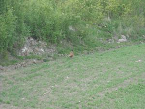 <img300*0:stuff/z/61691/Ridtur%2520-nya%2520rundan/DSCN0051.JPG>