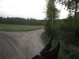 <img300*0:stuff/z/61691/Ridtur%2520-nya%2520rundan/DSCN0052.JPG>