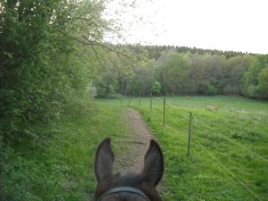 <img300*0:stuff/z/61691/Ridtur%2520-nya%2520rundan/DSCN0053.JPG>