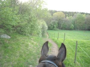 <img300*0:stuff/z/61691/Ridtur%2520-nya%2520rundan/DSCN0054.JPG>