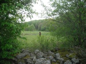 <img300*0:stuff/z/61691/Ridtur%2520-nya%2520rundan/DSCN0055.JPG>