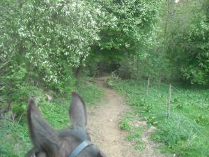 <img300*0:stuff/z/61691/Ridtur%2520-nya%2520rundan/DSCN0056.JPG>
