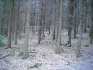 <img300*0:stuff/z/61691/Ridtur%2520-nya%2520rundan/DSCN0058.JPG>
