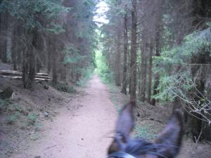 <img300*0:stuff/z/61691/Ridtur%2520-nya%2520rundan/DSCN0059.JPG>