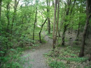 <img300*0:stuff/z/61691/Ridtur%2520-nya%2520rundan/DSCN0061.JPG>