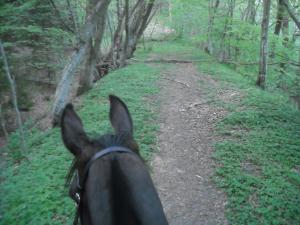 <img300*0:stuff/z/61691/Ridtur%2520-nya%2520rundan/DSCN0064.JPG>