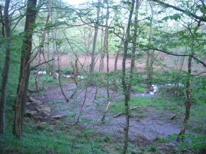 <img300*0:stuff/z/61691/Ridtur%2520-nya%2520rundan/DSCN0067.JPG>