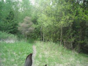 <img300*0:stuff/z/61691/Ridtur%2520-nya%2520rundan/DSCN0069.JPG>